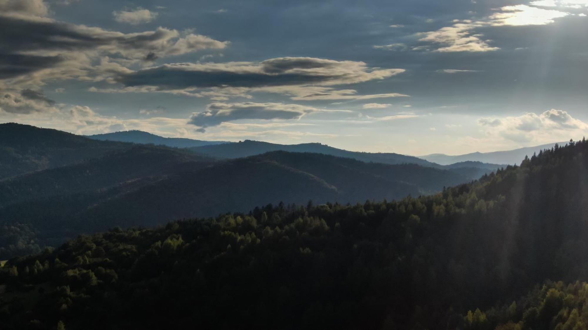 Apartmán Stylowe Beskidy - Luksusowe Domki Z Saunami I Jacuzzi Mutne Exteriér fotografie